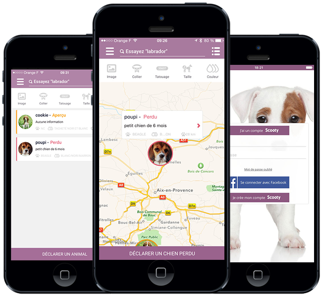 synertic développement application mobile